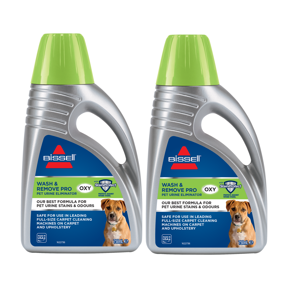 Best cleaning solution for dog urine clearance