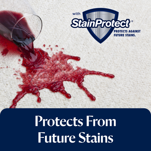 Pet Stain & Odour Formula (750ml)