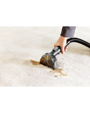 SpotClean HydroSteam Professional | 3689H