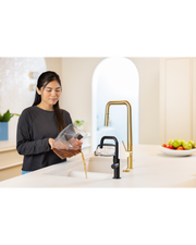 SpotClean HydroSteam Professional | 3689H