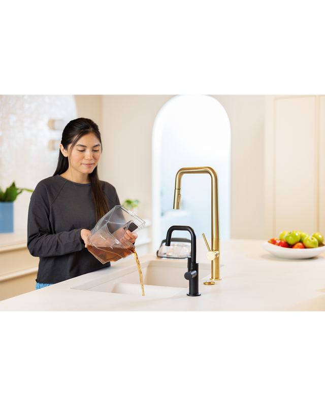 SpotClean HydroSteam Professional | 3689H