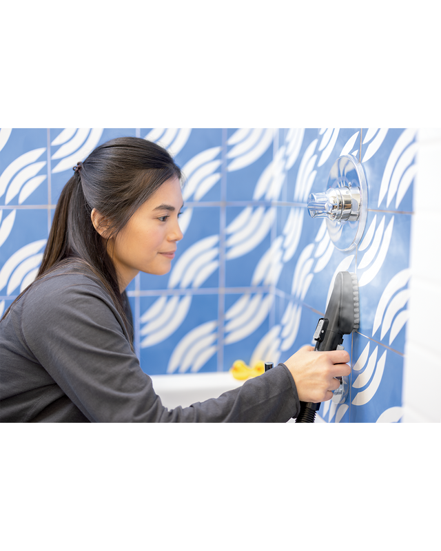 SpotClean HydroSteam Professional | 3689H