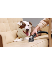 Damaged Carton SpotClean™ MAX | 3582F